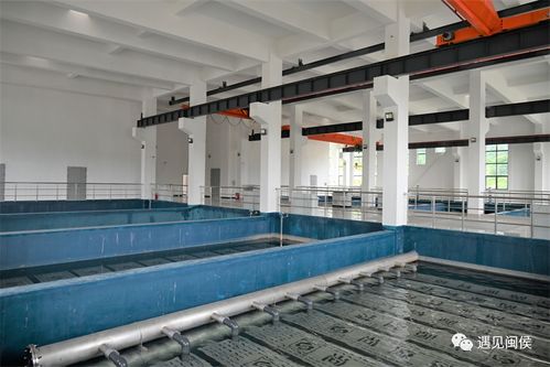 东南汽车城自来水厂项目一期工程建成 惠及闽侯三镇 建筑工程咨询的实践与启示